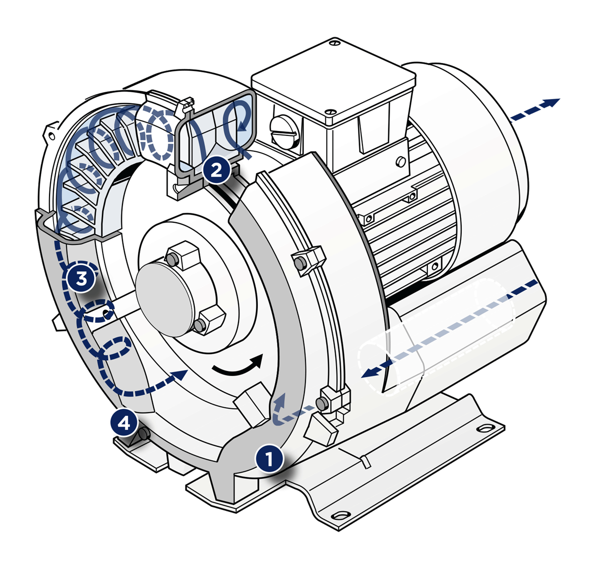 Robuschi side channel blower